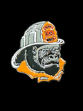 Bshifter Gorilla pin