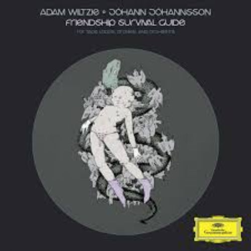 Adam Wiltzie & Johann Johannsson - Friendship Survival Guide