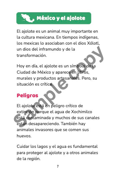 Animales de México, by Nelly Andrade-Hughes