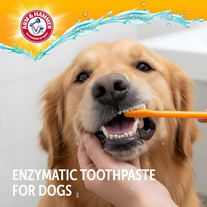 chicken flavor designed for canine taste compliance