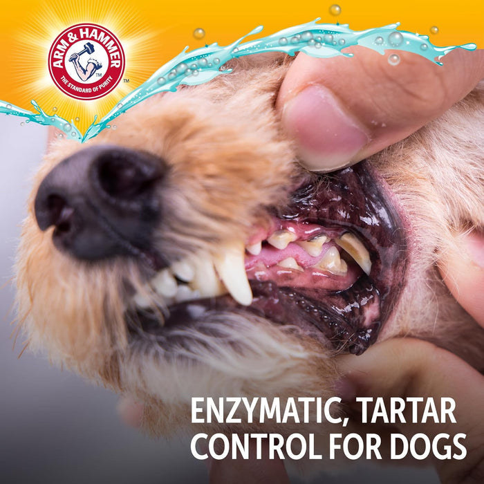 Arm & Hammer Complete Care Enzymatic Dog Toothpaste – Self-Care Dental Routine for Multi-Dog Homes, 6.2 Oz