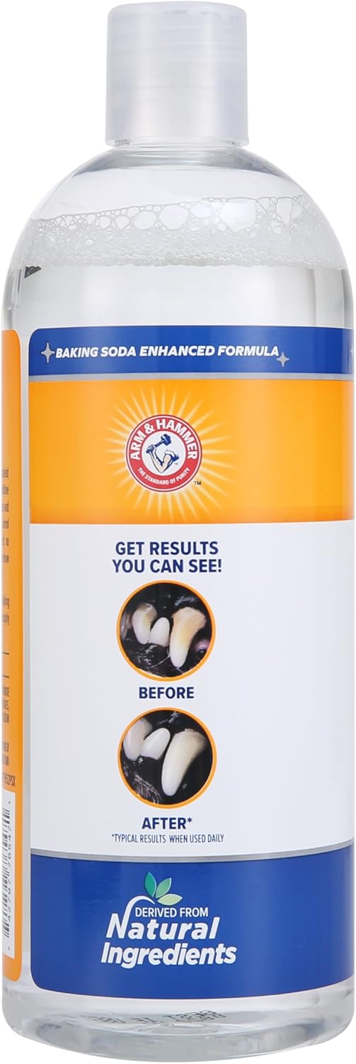 Arm & Hammer Odorless Dog Dental Rinse – Gentle Nightly Oral Care Ritual Between Vet Cleanings