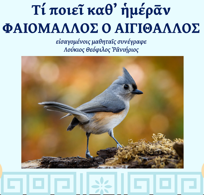 Beginner Ancient Greek Level 3, Wed & Fri 2pm ET