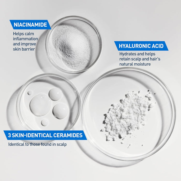 four product variations: 12oz single, 12oz 2-pack, 19oz single, and shampoo + conditioner set