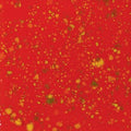 CG756 Firecracker