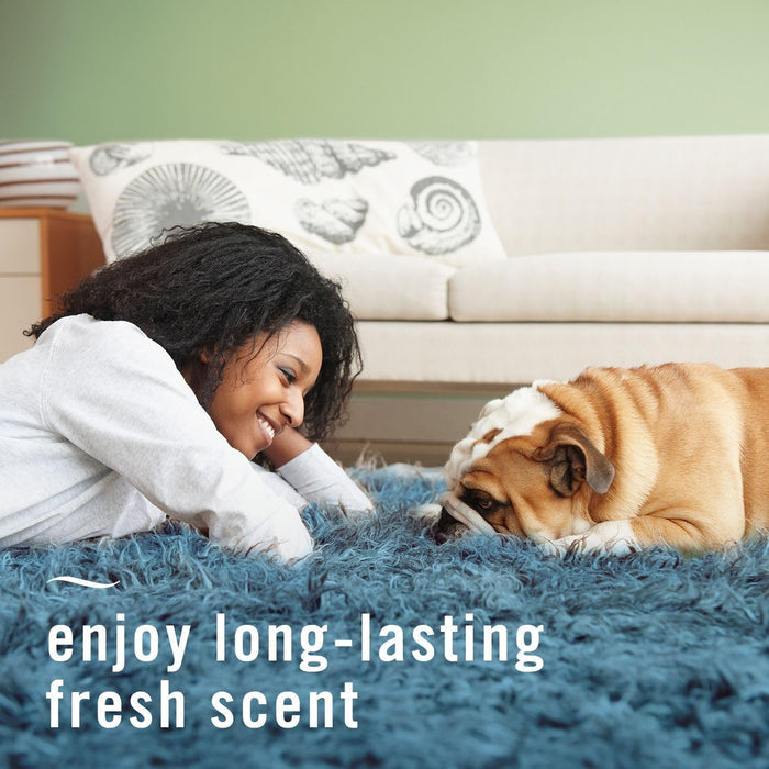 clean ingredient profile — no phthalates, formaldehyde, or flammable propellants