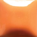 FN040 Pumpkin