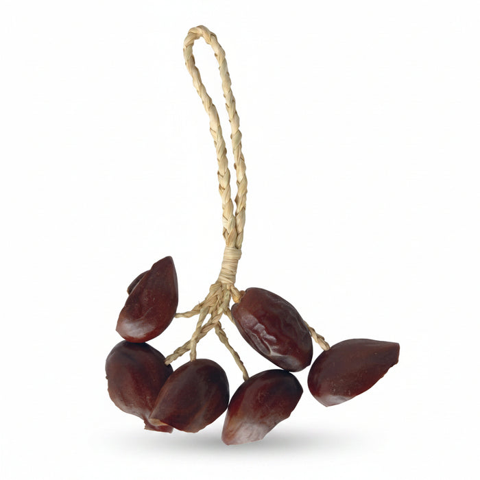 Brown juju nut shaker - nuts strung together with rope handle