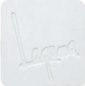 Laguna-L550 ^10