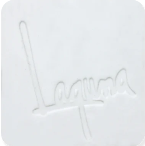 Laguna-L550 ^10