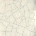 MCC101 Transparent