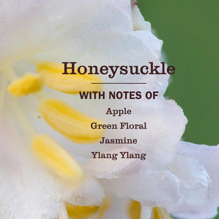biodegradable formula with essential oils and thoughtfully chosen ingredients