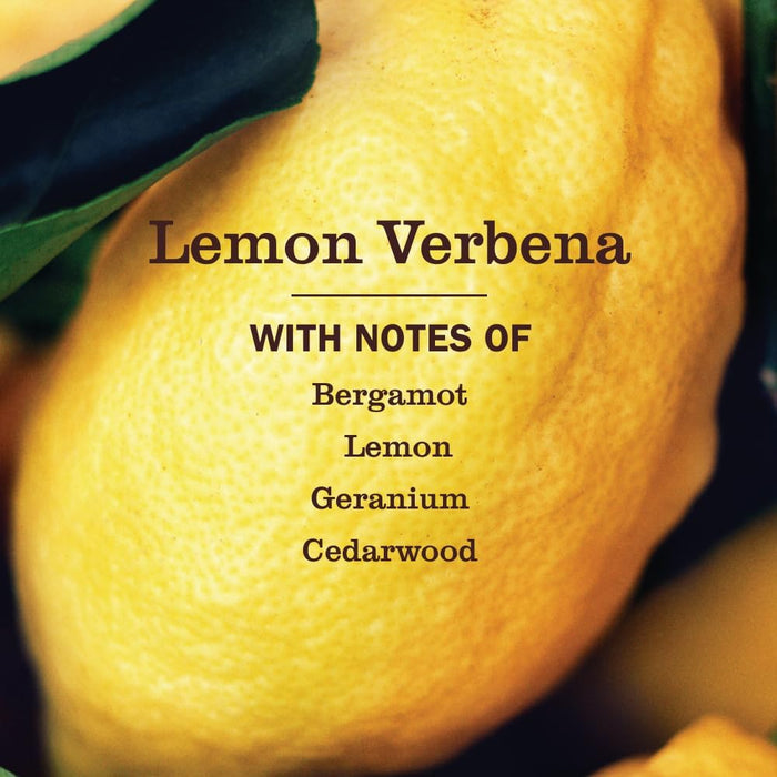 16 product variants spanning 8+ scents and multiple size/pack configurations (16 oz to 64 oz, 1-pack to 6-pack)