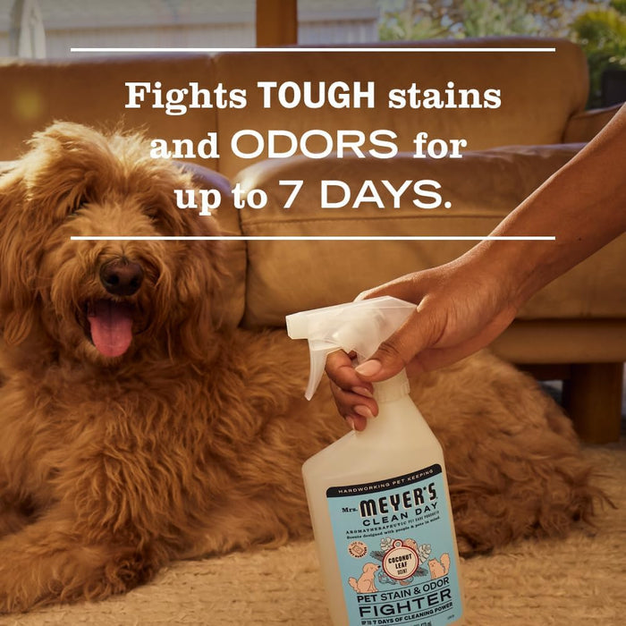 essential oil-driven scent profiles (coconut leaf or orange blossom) designed for both human and pet noses
