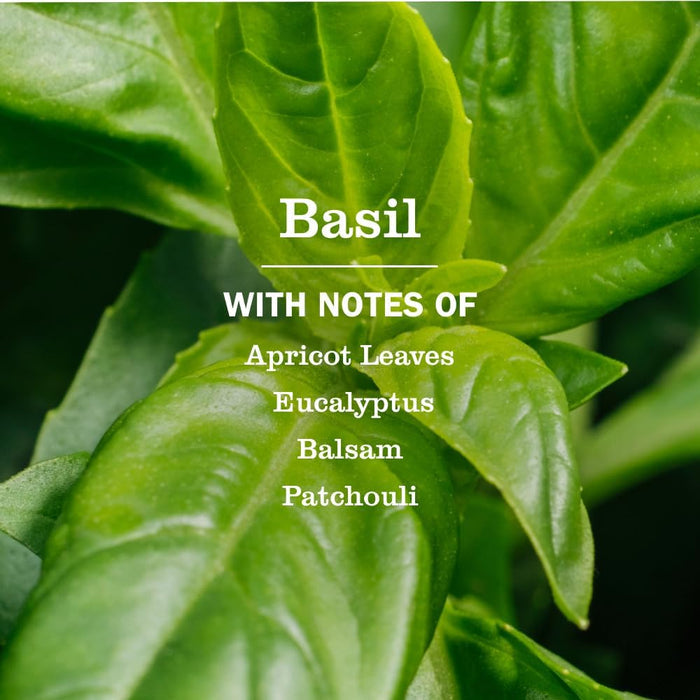 free of parabens, phthalates, glycol solvents, phosphates, and artificial colors