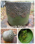 Moss Green / 130 gram - bar