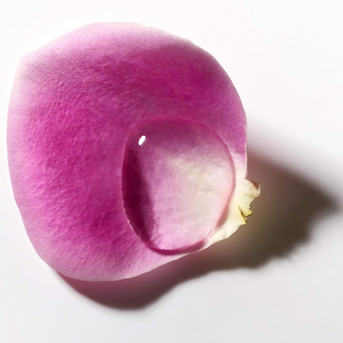pre-moistened formula with vitamin e (antioxidant) and glycerin (humectant)