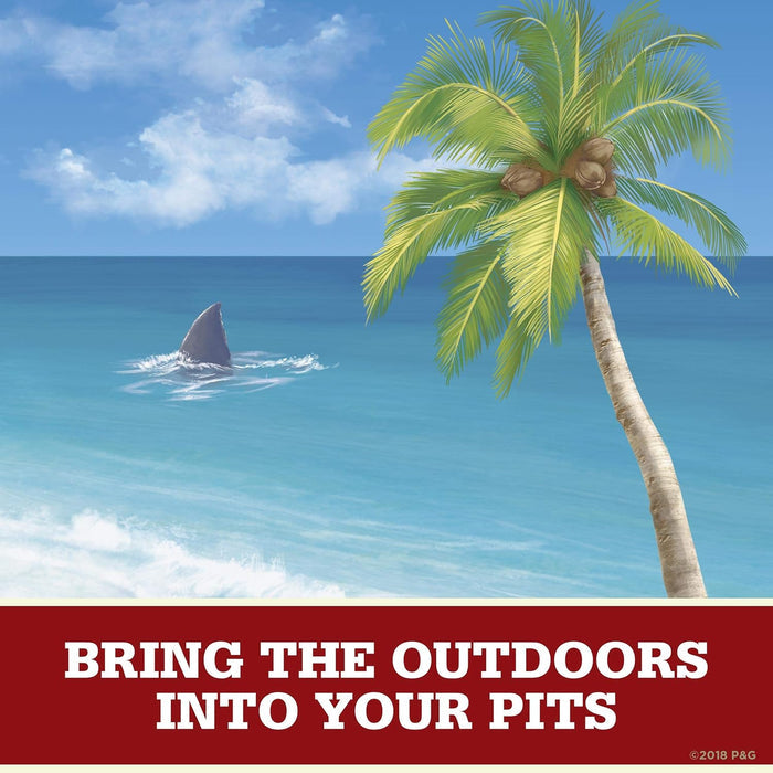 Old Spice Fiji Palm Tree Deodorant – TSA Friendly Aluminum Free Stick for Active Outdoor and Gym Use