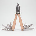 pruner with multi other attachments bldes