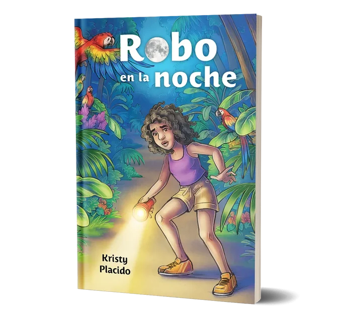Robo en la noche, (2nd edition) from Wayside Publishing