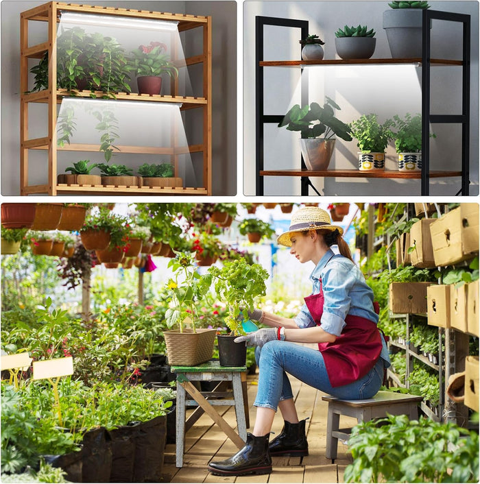 Roleadro 6-Bar Hydroponic LED Light – Basement Propagation Shelf with 6/12/18H Timer for Busy Hobbyists