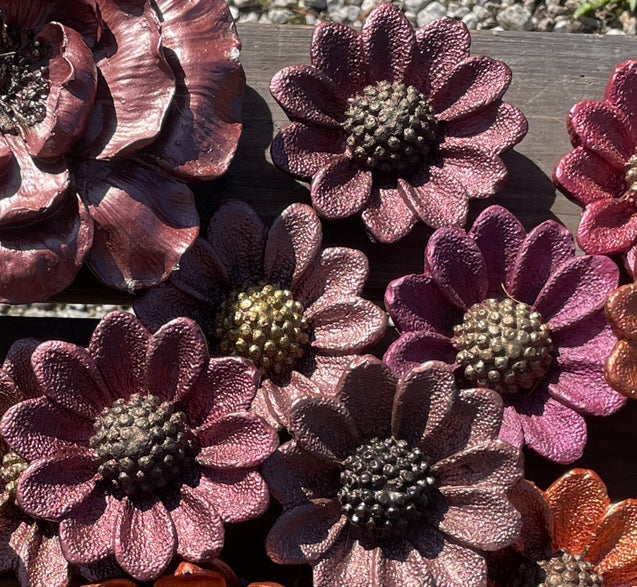 Rudbeckia - Gjutform 9 cm