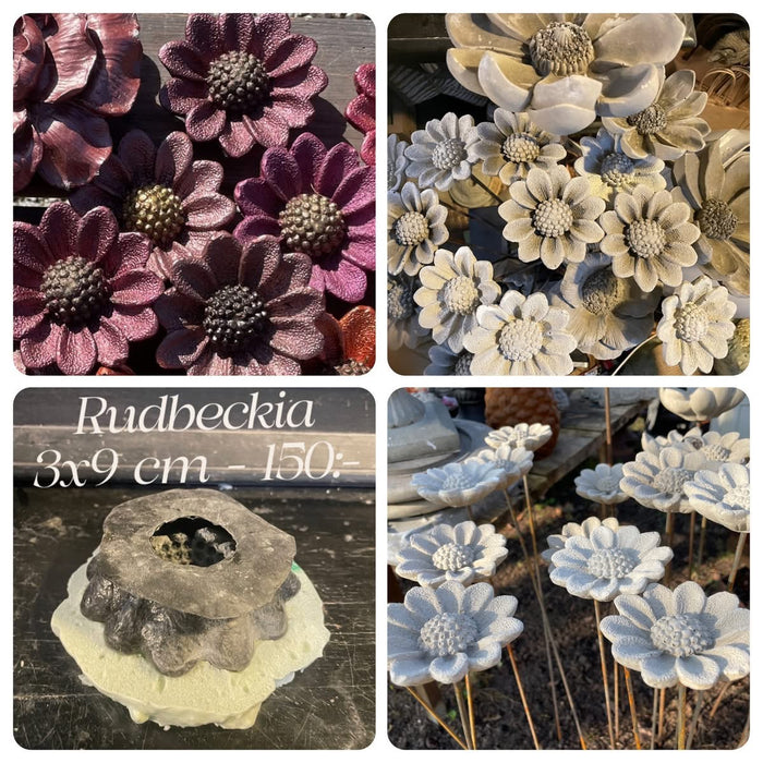 Rudbeckia- gjutform