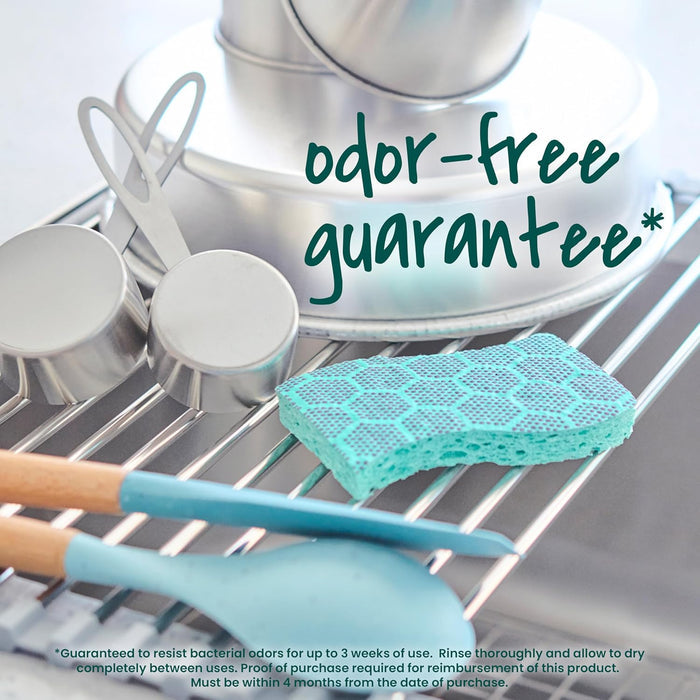 available in 6-pack, 12-pack (2x6), and 24-pack (4x6) configurations for varied household needs