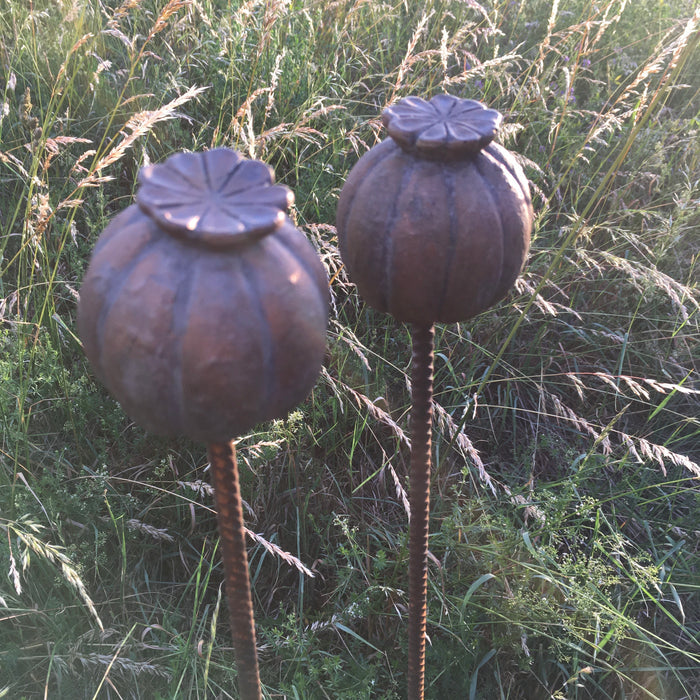 Vallmokapsel - Gjutform 8 cm (lätt begagnad)