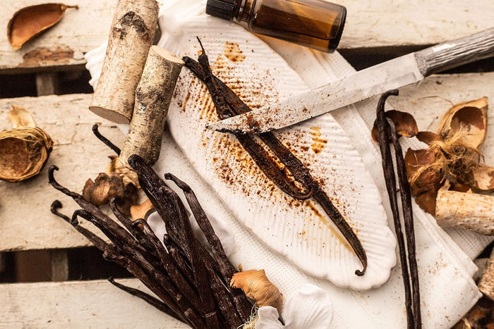 Vanilla Extract Co. Vanilla Bean Pods – Valentine's Day Gift for the Baker Who Has Everything
